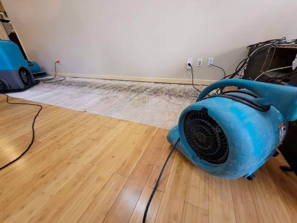 Professional Ceiling Water Damage Repair technician working in Clifton, TN